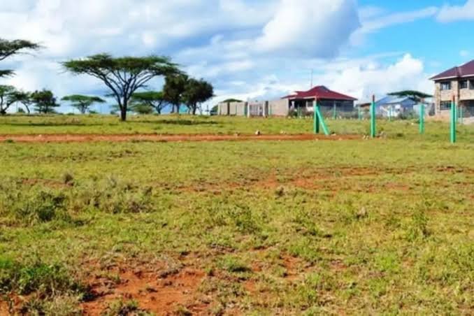 How to Buy Land in Kenya Safely: A Complete Guide for First-Time Buyers